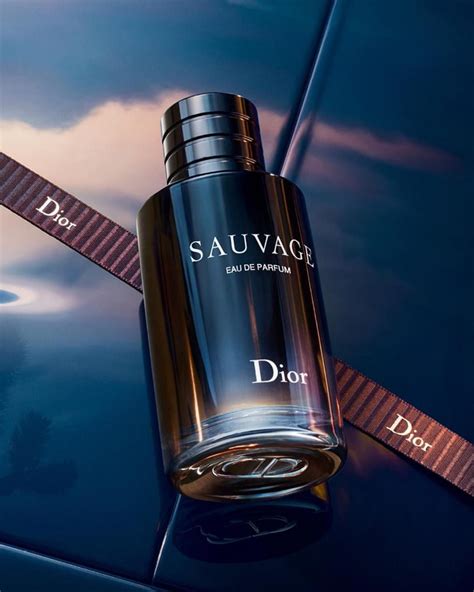 dior blue cologne|christian dior cologne sauvage.